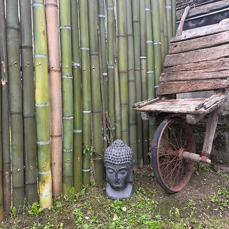Lejlighed Levoasi 10 - And Mountains Escape
