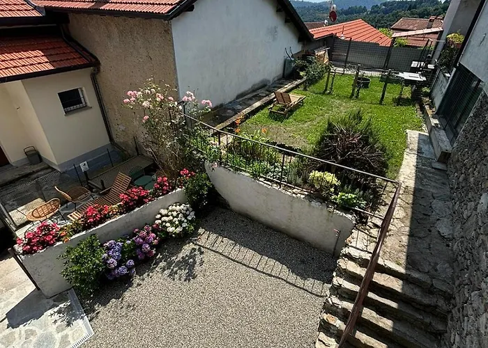 Levoasi 10